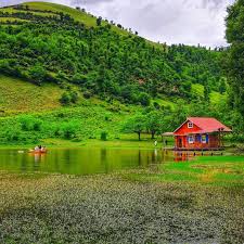 عبدالقادر گیلانی Archives