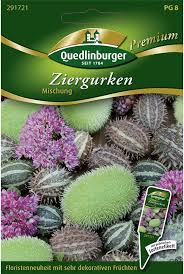 Image result for Cucumis hirsutus