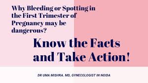 Image result for First Trimester Bleeding