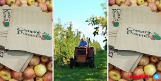 Cueillette Au Verger Comptoir Des Pommes A Civrieux Pour To Ain