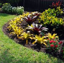 Tropical Landscape In Jupiter Country Club Jupiter Fl Featuring Color Layers And Bromeliad A Tropical Landscape Design Tropical Landscaping Tropical Garden