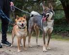 North American Shikoku Club » The North American Shikoku ...