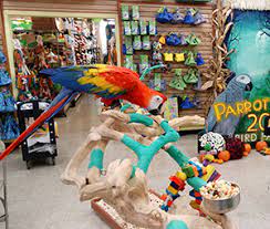 Inca's secret parrot toys & boarding. Exotic Pet Stores Near Me Cheap Online