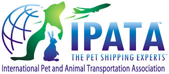 At 4paws on wheels we are the animal transport experts providing nationwide pet delivery that you can count on. Pet Travel Uk Worldwide Pet Transportation And Relocation Services