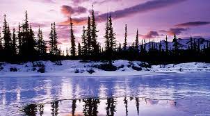 Beautiful Free Winter Wallpaper Desktop Backgrounds Winter Wallpaper Desktop Computer Wallpaper Desktop Wallpapers Nature Desktop Wallpaper