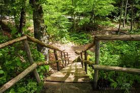 Maybe you would like to learn more about one of these? 4 Locuri De Vizitat Intr O IeÈ™ire De O Zi Din BucureÈ™ti Blogul Meu De CÄƒlÄƒtor