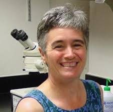 Anne Hart's Instagram, Twitter & Facebook