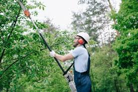 We did not find results for: Best Pole Saws In 2021 Reviews Ultimate Guide
