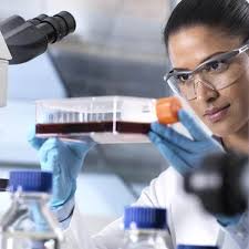 Le pouvoir des cellules souches et leur entretien par l'AFA