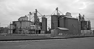 In fact, in 2019 michigan asparagus production was valued at more than $23.2 million. Michigan Agricultural Commodities 2094 Photograph By Michael Peychich