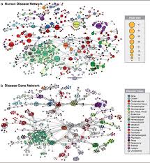 I can provide a perfect pdf file with answer key to simplify your life right away. Human Disease Network By Relating Diseases With Gene Mutations Download Scientific Diagram