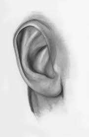 See more ideas about drawings, pencil drawings, realistic pencil drawings. Draw Facial Features With This In Depth Beginner S Guide