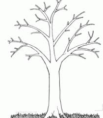 Tree Without Leaves Coloring Page To Print And Download For Kids For Kids Tree Coloring Page Leaf Coloring Page Tree Outline