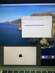 Go to general > device management and tap on your apple id. Iphone 8 Plus On Ios 13 4 Cannot Jailbreak Issue 1135 Checkra1n Bugtracker Github