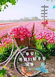 pin by hanson phuah on 早安 花 morning quotes good morning greetings