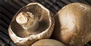 Leave a bucket/bin with your local café and collect the next day. All About Growing Mushrooms At Home Gardening Tips