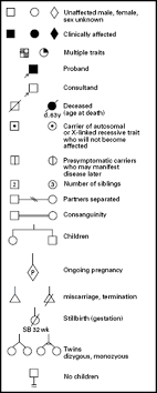 pedigree chart symbols pedigree chart teaching biology