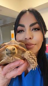 Sulcata Tortoise Care Group