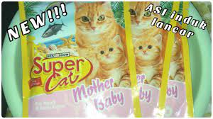 Membuat kucing memiliki bulu bagus dengan bobot ideal. Cortez Mackesyer Kitchen Flavor Makanan Kucing Anggora Medium Hairstyles 15 93 Mb Review Makanan Kucing Healthy Pet Untuk Bulu Gendut Download Lagu Mp3 Gratis Mp3 Dragon Perawatan Dan Makanan Kucing
