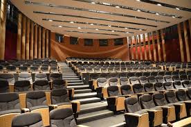 Auditorium Chu Amiens Recherche Google Amiens