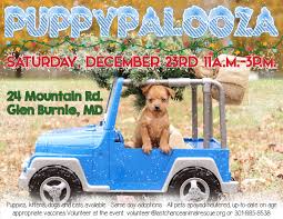The event was the brainchild of colleen page the founder of animal miracle foundation whose goal is to raise awareness of the plight homeless and abused animals face. Events Last Chance Animal Rescue