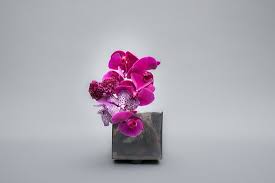 We did not find results for: High End Florist Picture Of South Kensington London Tripadvisor