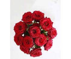 With beautiful flowers from under £30 our budget flower bouiquets are the perfect choice. 63 Online Flowers Delivery Ideas Online Flower Shop Beautiful Flowers Flowers