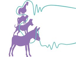 Check spelling or type a new query. Bremer Stadtmusikanten Bremen Town Musicians