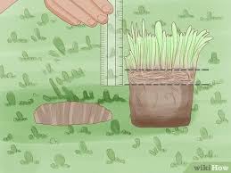Some lawns may need to be dethatched every year. How To Know If Your Lawn Needs Dethatching 9 Steps