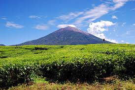 Gunung ini salah satu favorit pendaki. 10 Gunung Tertinggi Di Asia Tenggara Yang Wajib Diketahui Ilmugeografi Com