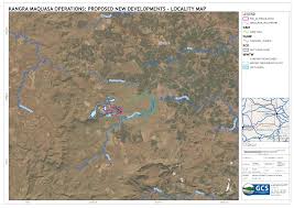 Image result for Aspidoglossum hirundo