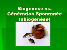 Als je begrijpt wat je leest kan biologie best interessant zijn. Biogenese Vs Generation Spontanee Abiogenese Ppt Video Online Telecharger