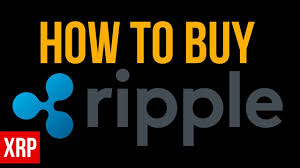Margin trading terms & concepts. How To Buy Ripple Xrp Using Kraken Youtube
