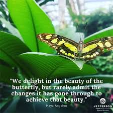 Maybe you would like to learn more about one of these? With Gratitude