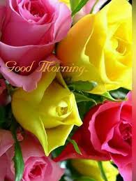 Pin On Good Morning