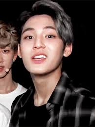 Does mingyu fit the korean male beauty standard. Mingyu Gif Find On Gifer