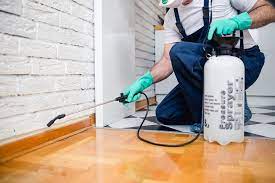Submit your business listing | help & contact us. Exterminator Kansas City Milberger Helps Get Rid Of Termites Two Ways