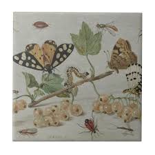 Insects Fruits Ceramic Tile Zazzle Com In 2021 Insect Art Kessel Botanical Art