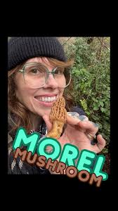 Omg I found a Morel Mushroom!! This is my favourite mushroom and I rarely  find them. Let’s find reasons to get outside #whichbetty #foraging #forager  #morelmushrooms #morchella #mushrooms ...