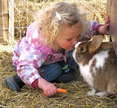 First petting zoo in india. We Come To You Butterfield Acres