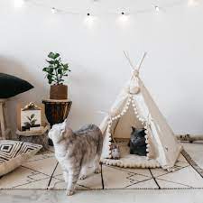 So browse through cute cat accessories at your heart's content and i'm confident that you'll find something that you or your cats will enjoy immensely. 12 Cute Cat Accessories That Will Complement Your Decor Hgtv Personal Shopper Hgtv