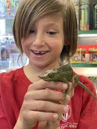 Scales 'N Tails Las Vegas, 6836 W Charleston Blvd, Las Vegas, NV 89117, US 