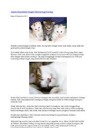 Check spelling or type a new query. Nama Kucing Peliharaan Nabi Muhammad 81021 Nama Untuk Kucing Comel Lucu Dan Unik