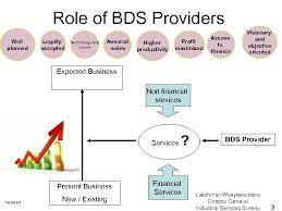 What is business development role. Role Of Business Development Service Providers Implementation