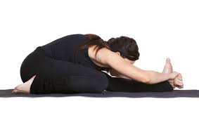 Triang Mukhaikapada Paschimottanasana Three Parts Forward Bend Pose Yogaasan