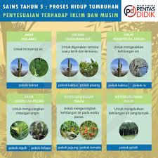 Proses hidup tumbuhan tahun 4. Sains Tahun 5 Proses Hidup Pusat Tuisyen Pentas Didik Facebook