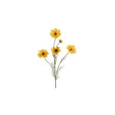 Cosmos Spray In Yellow Silk Cosmos Silk Flowers 2 19 Liked On Polyvore Featuring Home Home Decor F Flower Illustration Flower Drawing Trendy Flowers