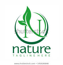 Letter N Logo Concept Nature Green Leaf Symbol Initials N Icon Natural Design Stock Vector Logo Concept Typographic Logo N Logo Design