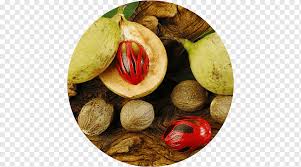Have a fact about buah pala ? Nutmeg Banda Islands Mace Seed Flavor Buah Food Recipe Fruit Png Pngwing