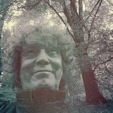 Martin Schau (@trau_schau)